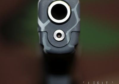 Glock 17 in Urban Cryptic Camo with Mandalorian Mudhorn Motif